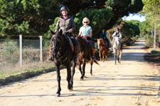 Portugal-Alentejo / Blue Coast-Dolphin Coast Ride